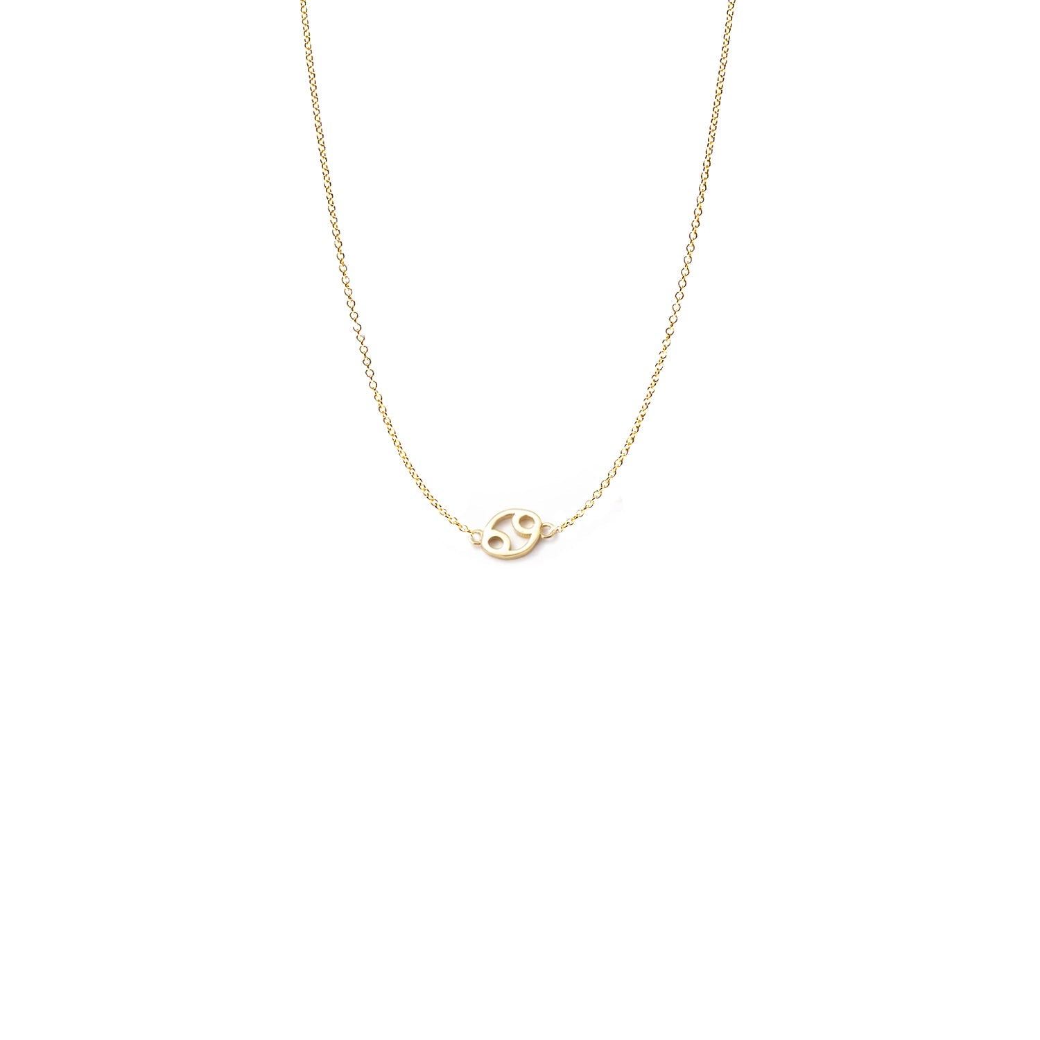 Mini Zodiac Necklace
