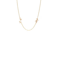 Mini Zodiac Necklace